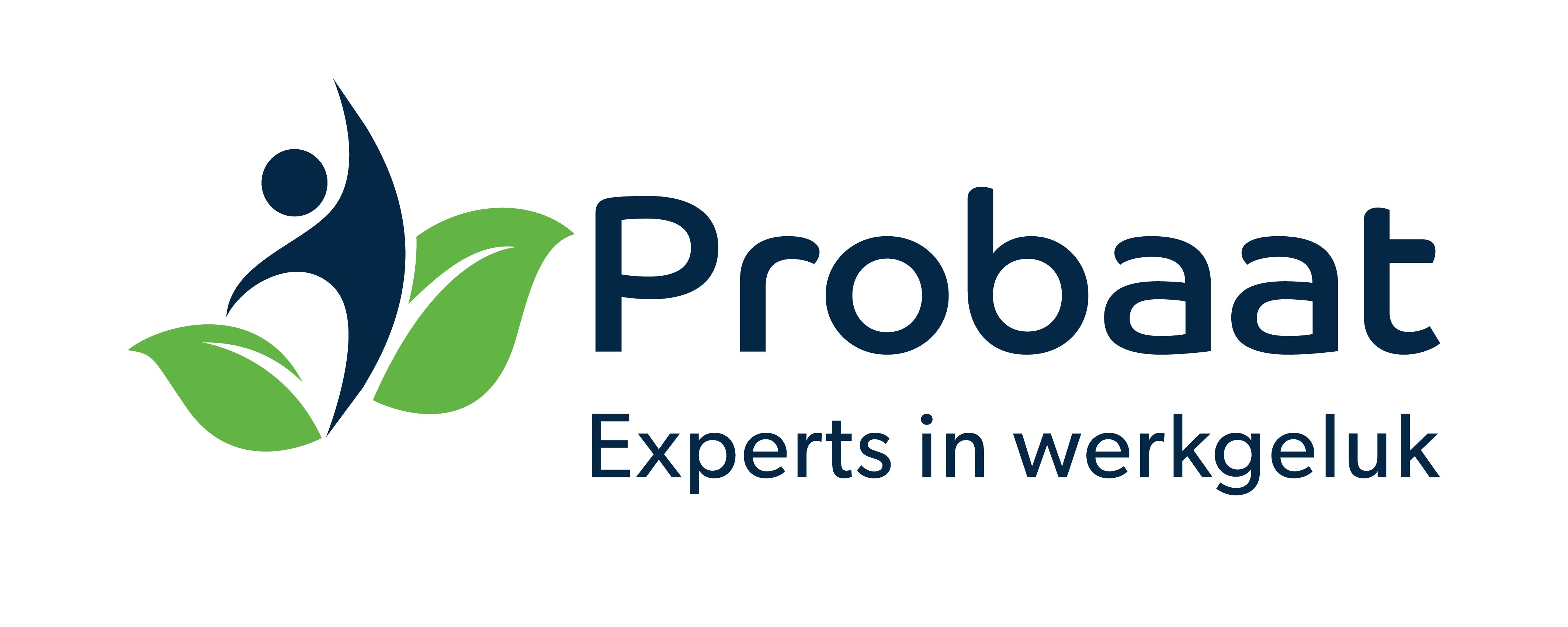 Probaat: Experts in werkgeluk
